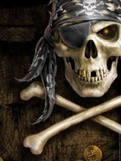 HaCk..Pirate Skull